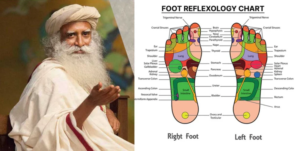 Reflexology image